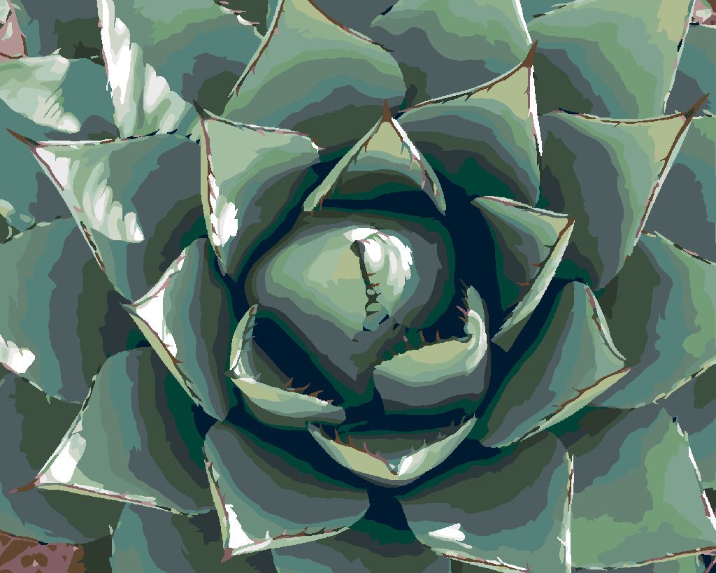 zuty Malování podle čísel - POUŠTNÍ ŠŤAVNATÁ ROSTLINA - Rozměr: 40x50 cm, Rámování: Varianta: vypnuté plátno na rám - obrázek 3