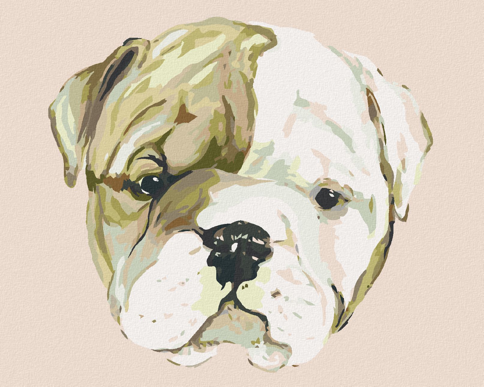 zuty Malování podle čísel - ŠTĚNÁTKO BULLDOGA (HALEY BUSH) - Rozměr: 40x50 cm, Rámování: Varianta: vypnuté plátno na rám - obrázek 1