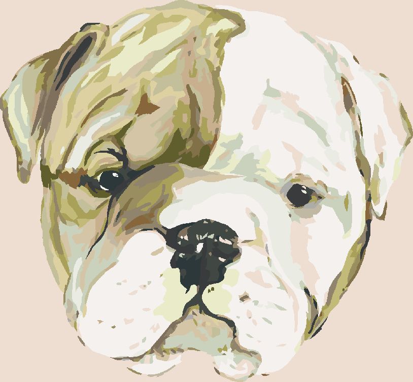 zuty Malování podle čísel - ŠTĚNÁTKO BULLDOGA (HALEY BUSH) - Rozměr: 40x50 cm, Rámování: Varianta: vypnuté plátno na rám - obrázek 3