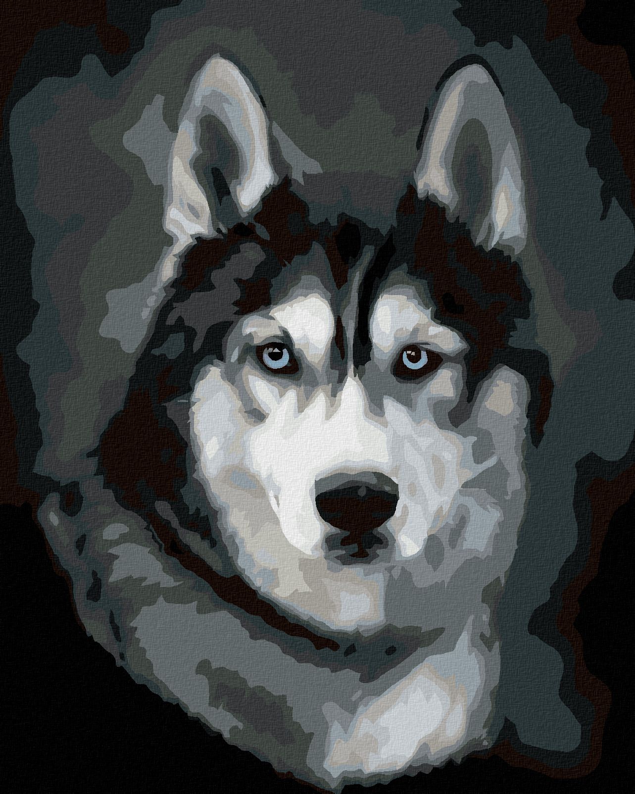 zuty Malování podle čísel - HUSKY PORTRÉT - Rozměr: 40x50 cm, Rámování: Varianta: vypnuté plátno na rám - obrázek 1