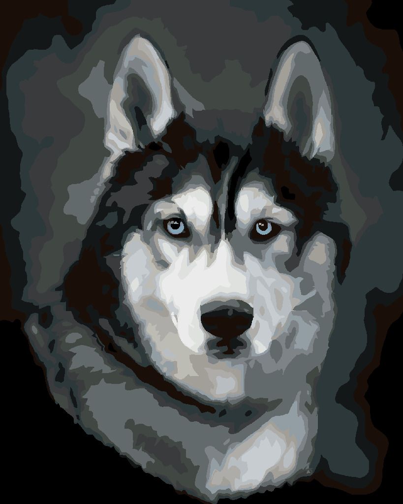 zuty Malování podle čísel - HUSKY PORTRÉT - Rozměr: 40x50 cm, Rámování: Varianta: vypnuté plátno na rám - obrázek 5