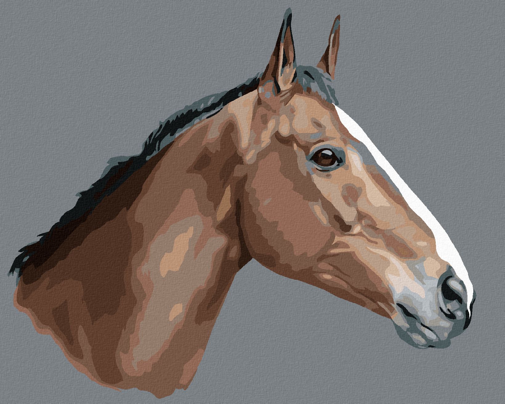 zuty Malování podle čísel - HNĚDÝ KŮŇ NA ŠEDÉM POZADÍ - Rozměr: 40x50 cm, Rámování: Varianta: vypnuté plátno na rám - obrázek 1