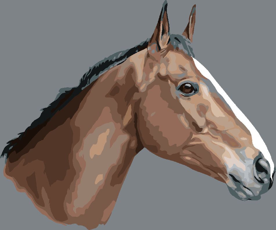 zuty Malování podle čísel - HNĚDÝ KŮŇ NA ŠEDÉM POZADÍ - Rozměr: 40x50 cm, Rámování: Varianta: vypnuté plátno na rám - obrázek 5