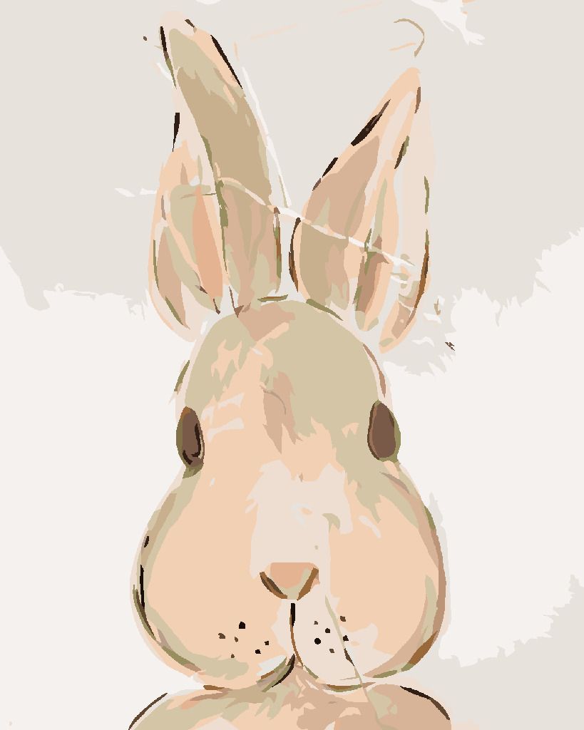 zuty Malování podle čísel - HNĚDÝ KRÁLÍK (HALEY BUSH) - Rozměr: 40x50 cm, Rámování: Varianta: vypnuté plátno na rám - obrázek 5