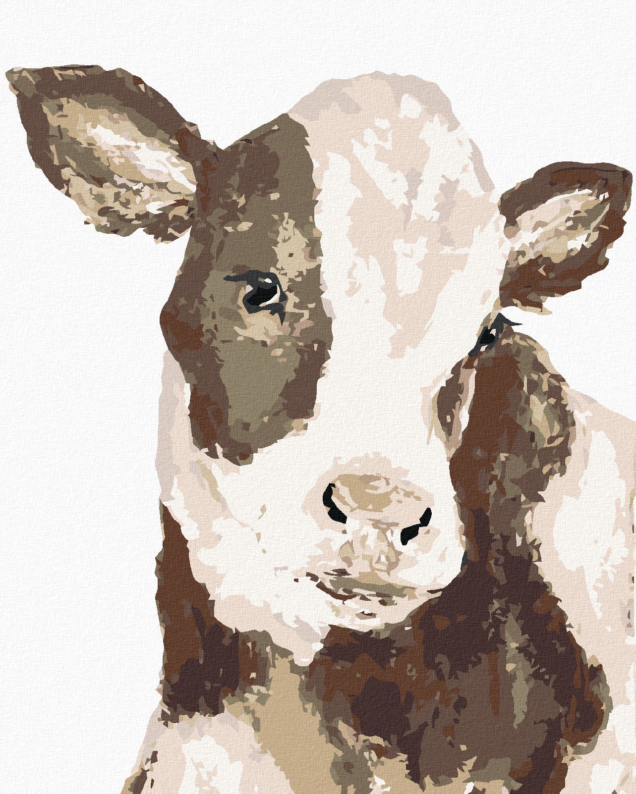 zuty Malování podle čísel - ČERNOBÍLÁ KRÁVA (HALEY BUSH) - Rozměr: 40x50 cm, Rámování: Varianta: vypnuté plátno na rám - obrázek 1
