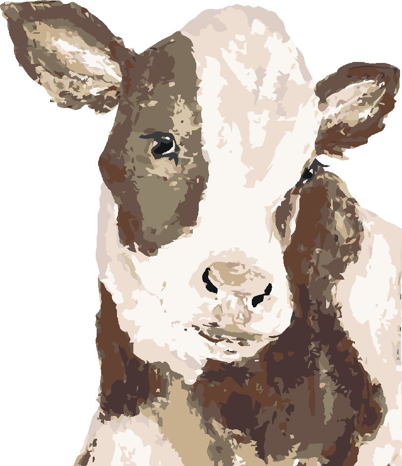 zuty Malování podle čísel - ČERNOBÍLÁ KRÁVA (HALEY BUSH) - Rozměr: 40x50 cm, Rámování: Varianta: vypnuté plátno na rám - obrázek 2