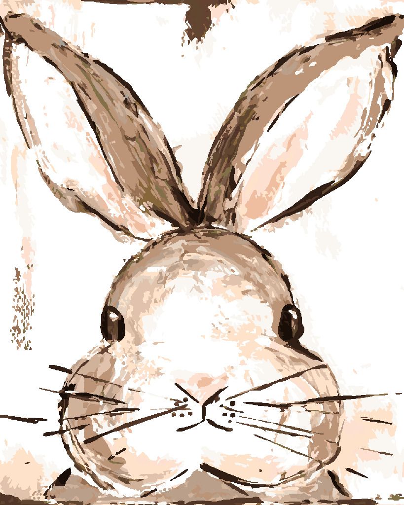 zuty Malování podle čísel - KRÁLÍK BÍLÉ POZADÍ (HALEY BUSH) - Rozměr: 40x50 cm, Rámování: Varianta: bez rámu a bez vypnutí plátna - obrázek 2