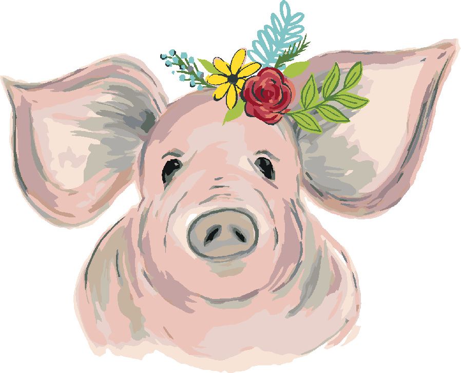 zuty Malování podle čísel - PRASE S KVĚTINAMI (HALEY BUSH) - Rozměr: 40x50 cm, Rámování: Varianta: vypnuté plátno na rám - obrázek 6