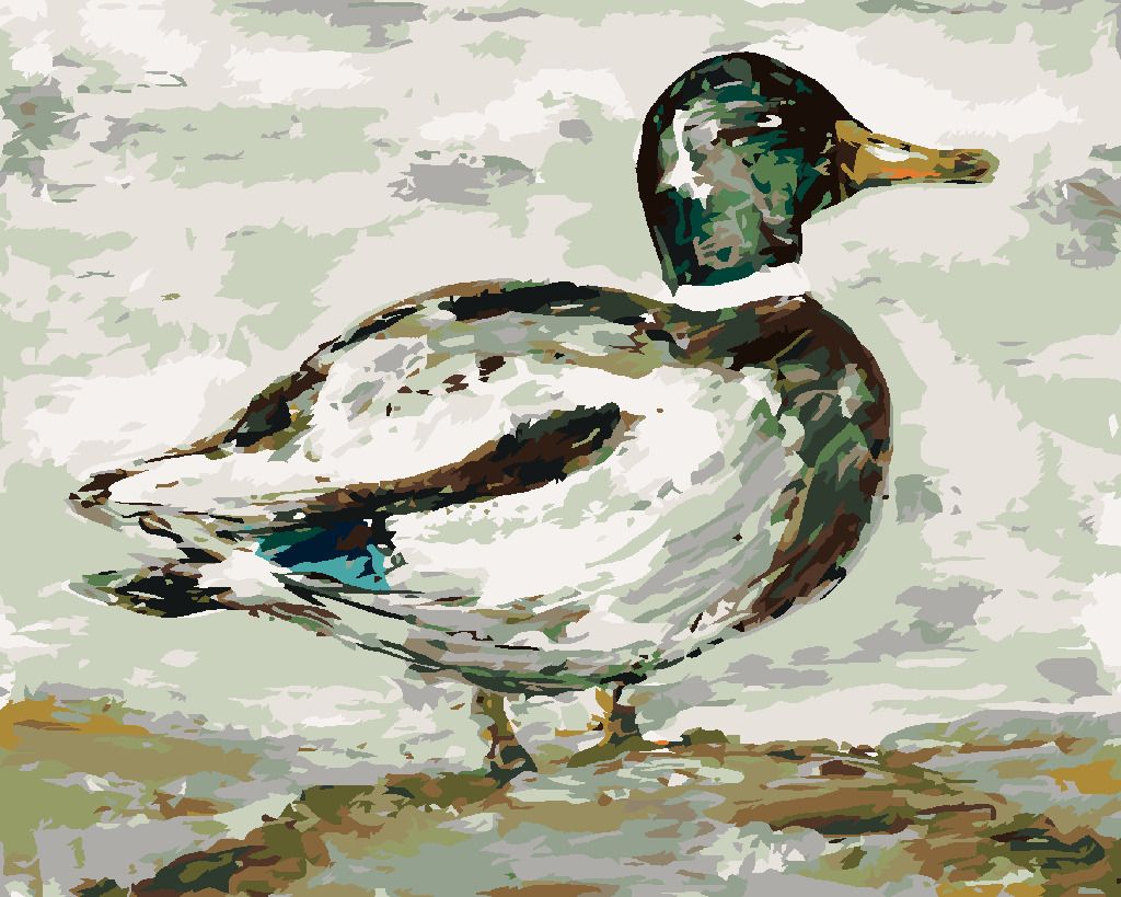 zuty Malování podle čísel - DIVOKÝ KAČER (HALEY BUSH) - Rozměr: 40x50 cm, Rámování: Varianta: vypnuté plátno na rám - obrázek 2