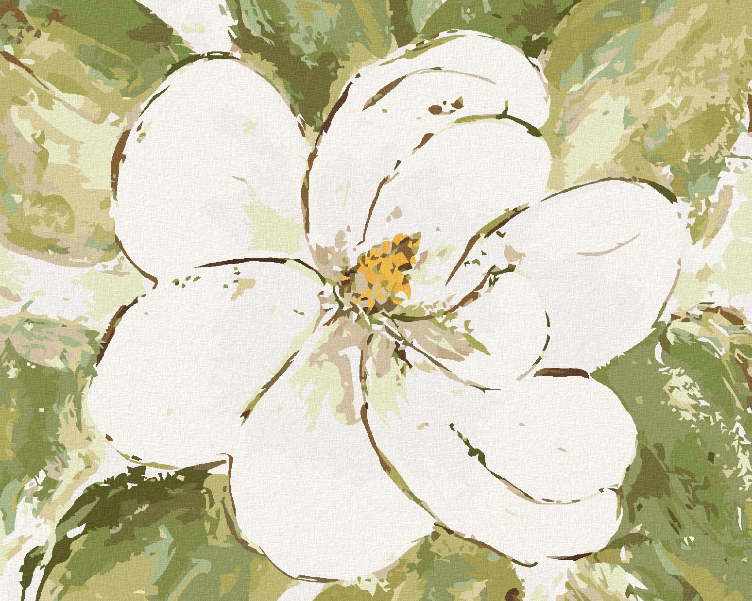 zuty Malování podle čísel - BÍLÁ MAGNÓLIE (HALEY BUSH) - Rozměr: 40x50 cm, Rámování: Varianta: vypnuté plátno na rám - obrázek 1