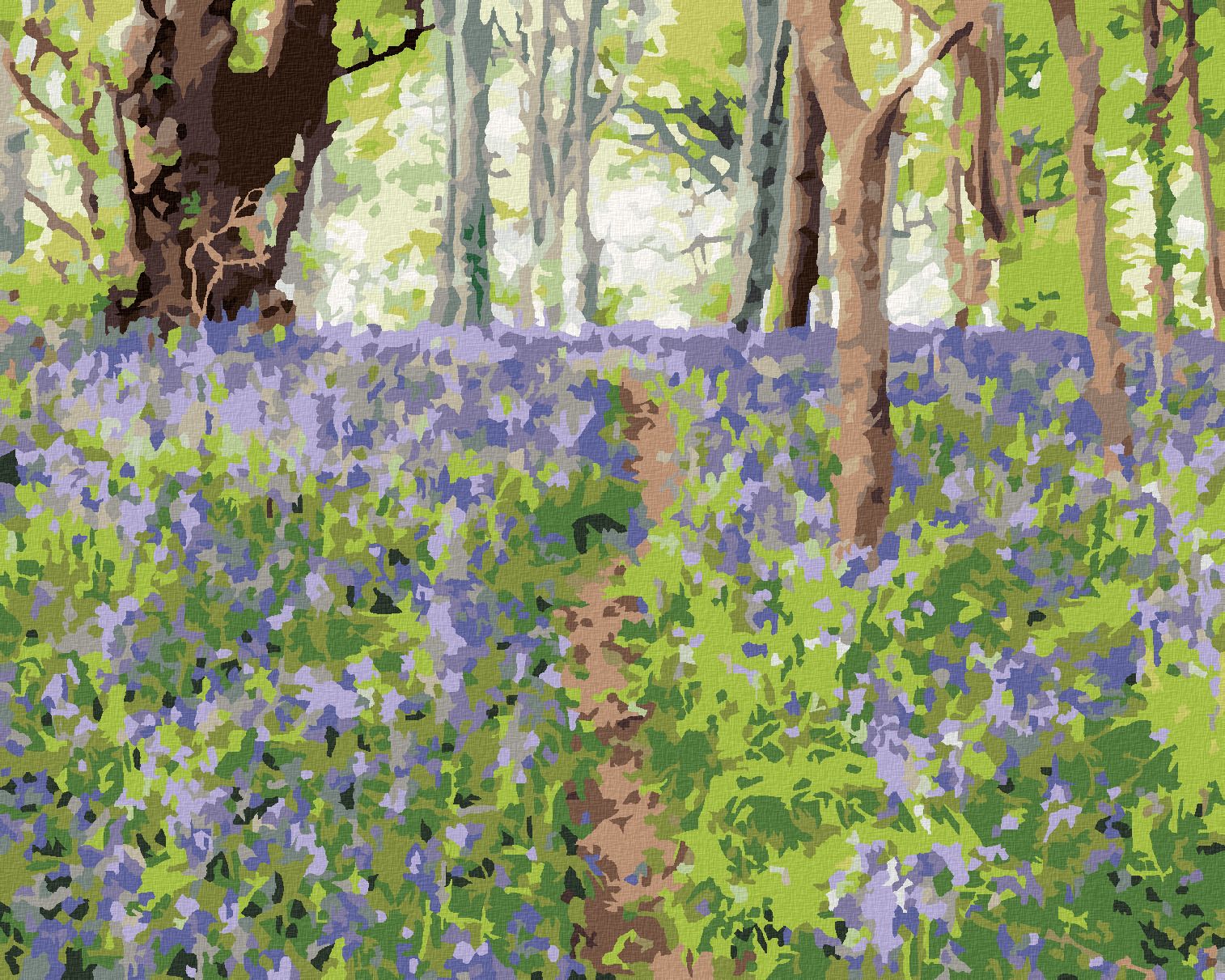 zuty Malování podle čísel - KVĚTINY A STROMY, IRSKO (TED DAVIS) - Rozměr: 40x50 cm, Rámování: Varianta: vypnuté plátno na rám - obrázek 1