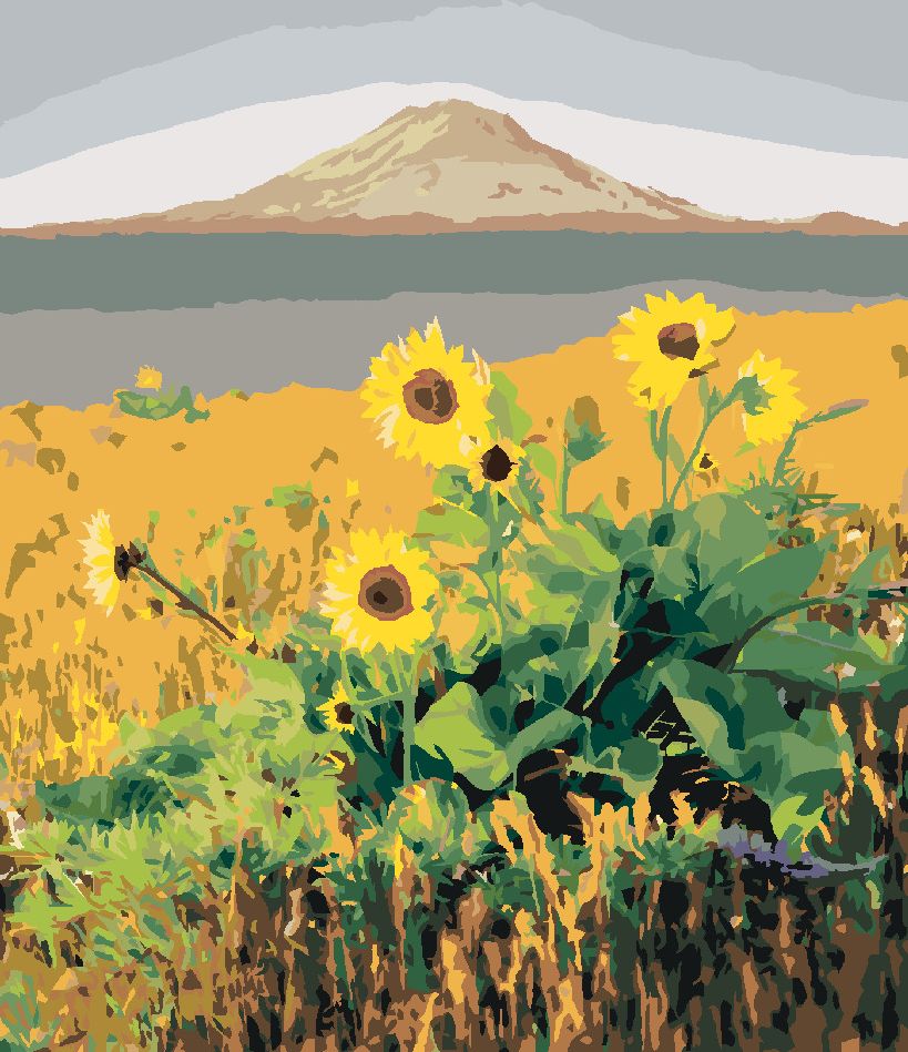 zuty Malování podle čísel - SLUNEČNICE PŘED HOROU, USA (TED DAVIS) - Rozměr: 40x50 cm, Rámování: Varianta: vypnuté plátno na rám - obrázek 10