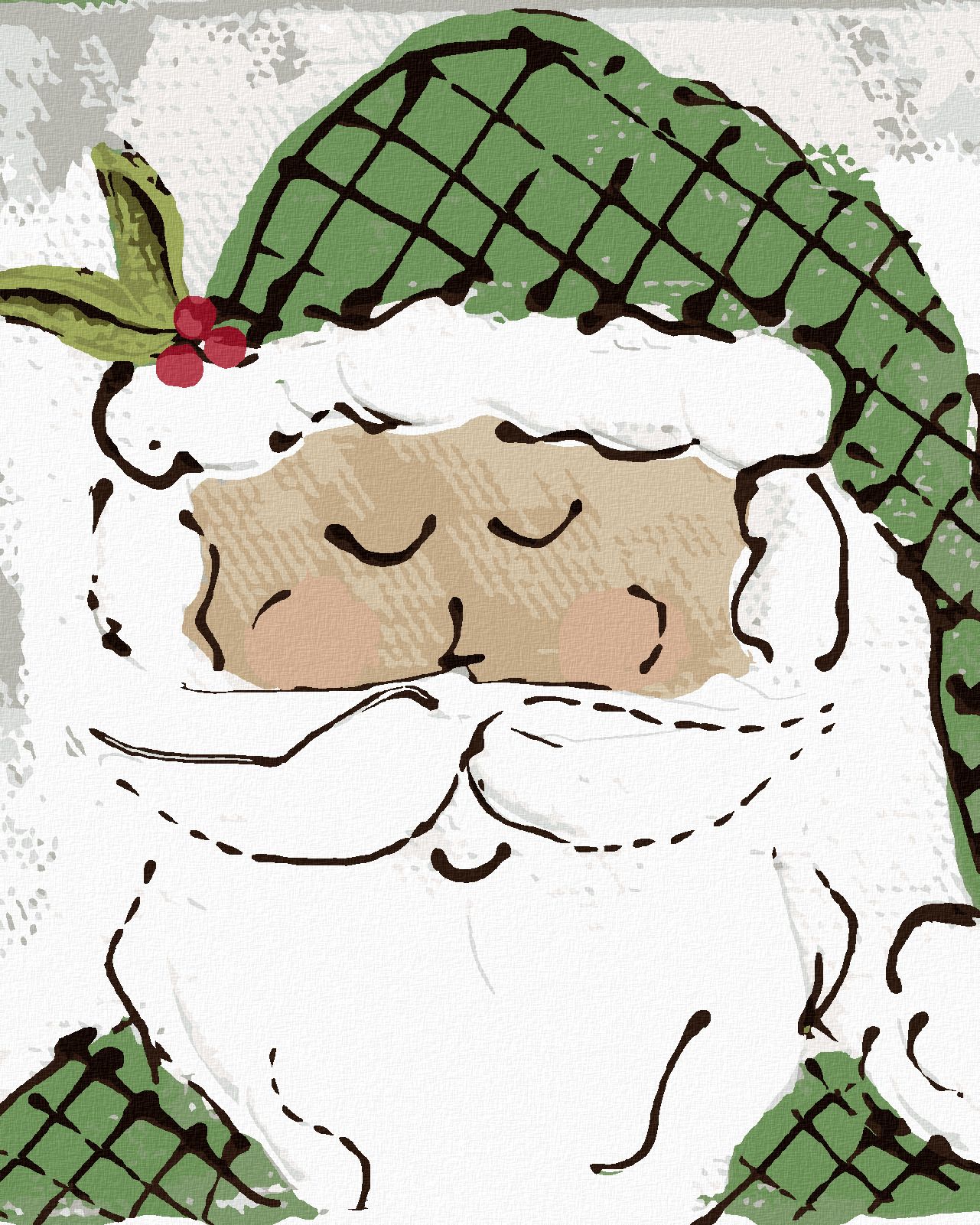 zuty Malování podle čísel - SANTA SE ZELENOU ČEPICÍ (HALEY BUSH) - Rozměr: 40x50 cm, Rámování: Varianta: bez rámu a bez vypnutí plátna - obrázek 1