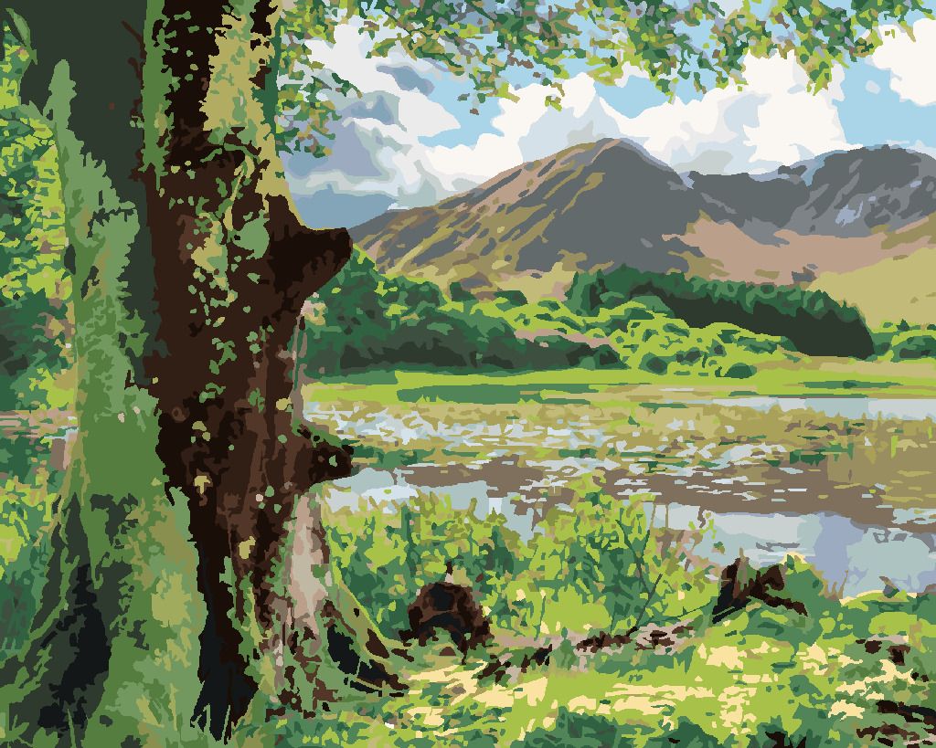 zuty Malování podle čísel - PŘÍRODA A HORY, IRSKO (TED DAVIS) - Rozměr: 40x50 cm, Rámování: Varianta: bez rámu a bez vypnutí plátna - obrázek 6