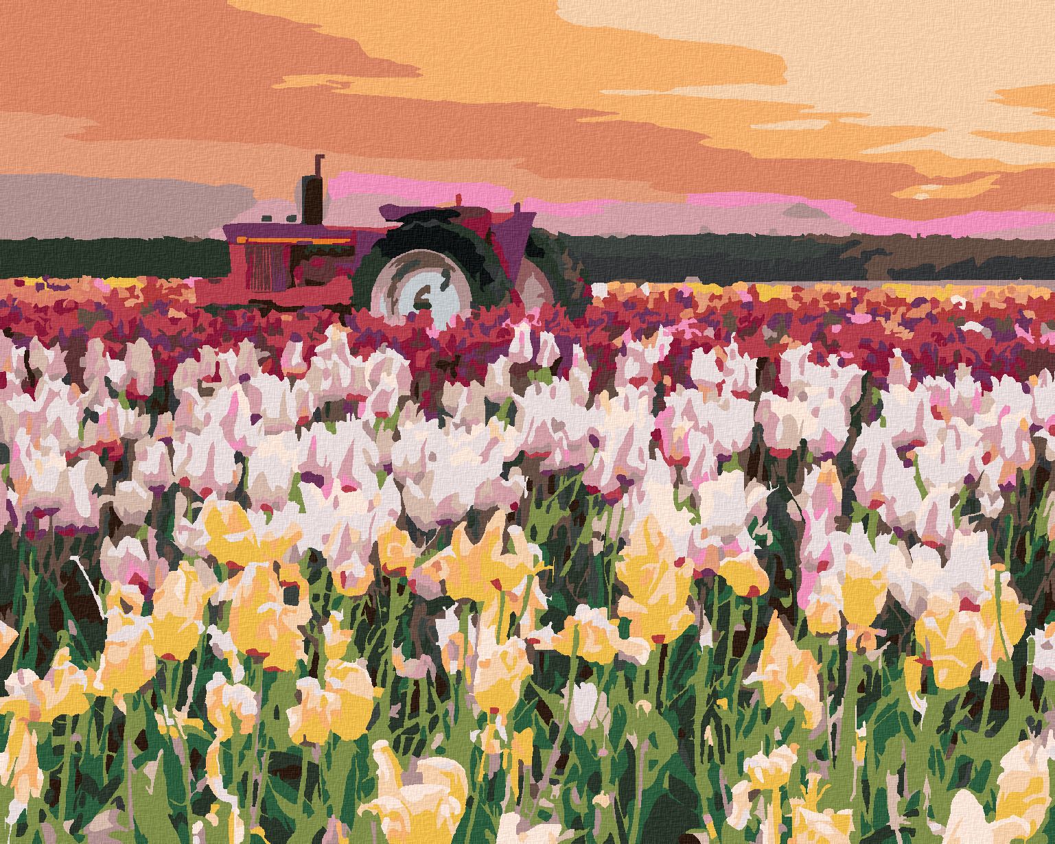 zuty Malování podle čísel - TULIPÁNY NA POLI (TED DAVIS) - Rozměr: 40x50 cm, Rámování: Varianta: vypnuté plátno na rám - obrázek 1