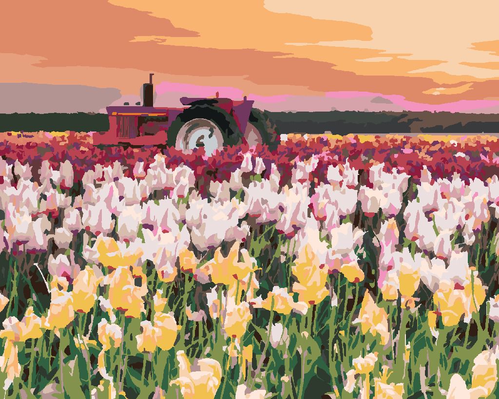 zuty Malování podle čísel - TULIPÁNY NA POLI (TED DAVIS) - Rozměr: 40x50 cm, Rámování: Varianta: vypnuté plátno na rám - obrázek 5