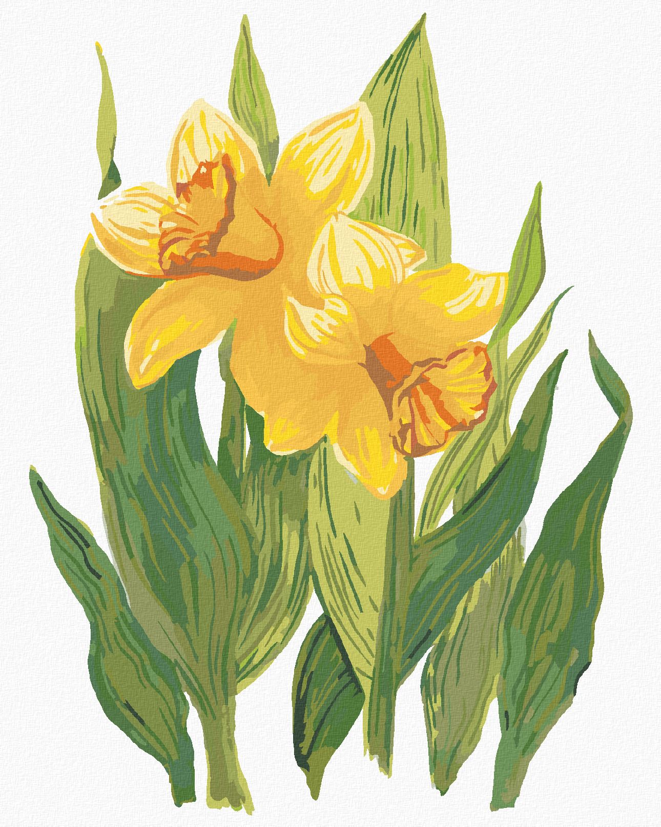 zuty Malování podle čísel - ŽLUTÉ NARCISY (ALEXANDRIA GILBERT) - Rozměr: 40x50 cm, Rámování: Varianta: bez rámu a bez vypnutí plátna - obrázek 1