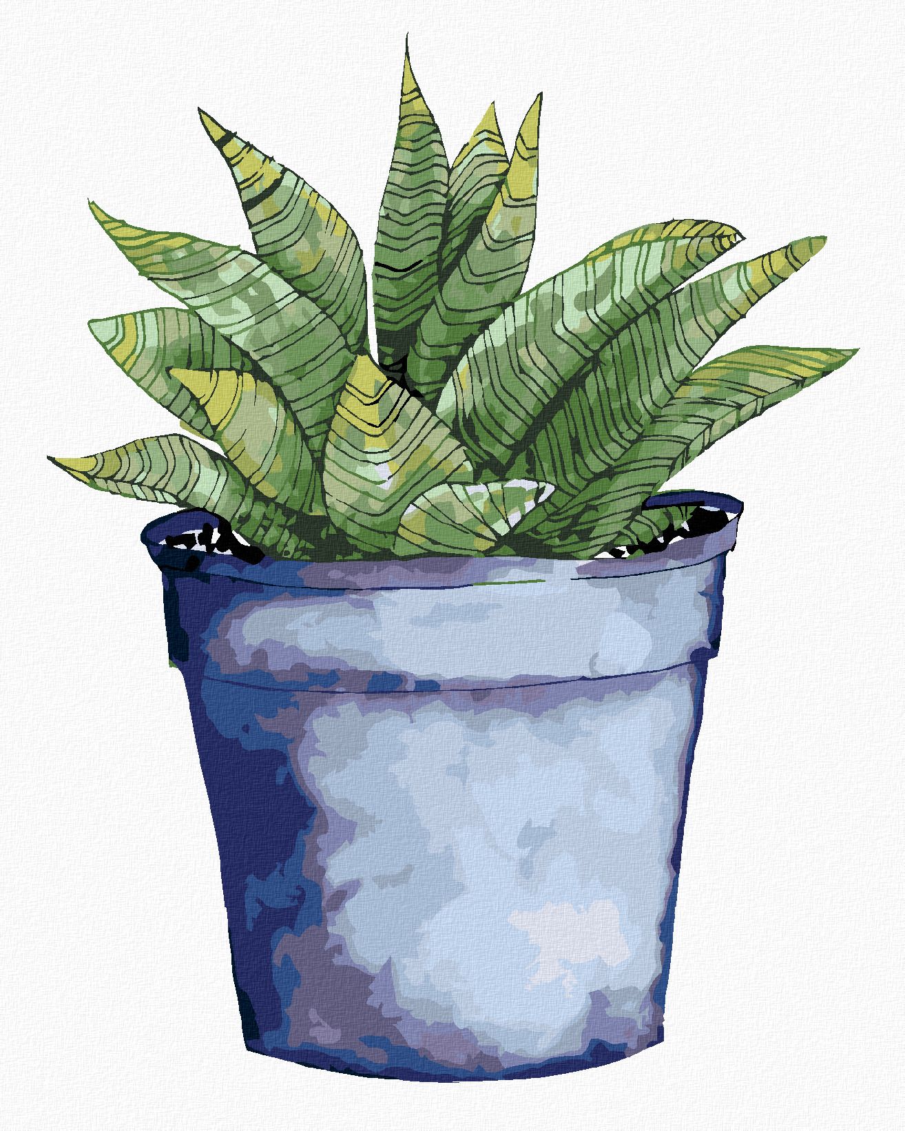 zuty Malování podle čísel - SUKULENT V MODRÉM KVĚTINÁČI (ALEXANDRIA GILBERT) - Rozměr: 40x50 cm, Rámování: Varianta: vypnuté plátno na rám - obrázek 1