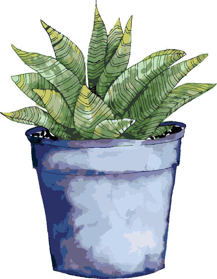 zuty Malování podle čísel - SUKULENT V MODRÉM KVĚTINÁČI (ALEXANDRIA GILBERT) - Rozměr: 40x50 cm, Rámování: Varianta: vypnuté plátno na rám - obrázek 7