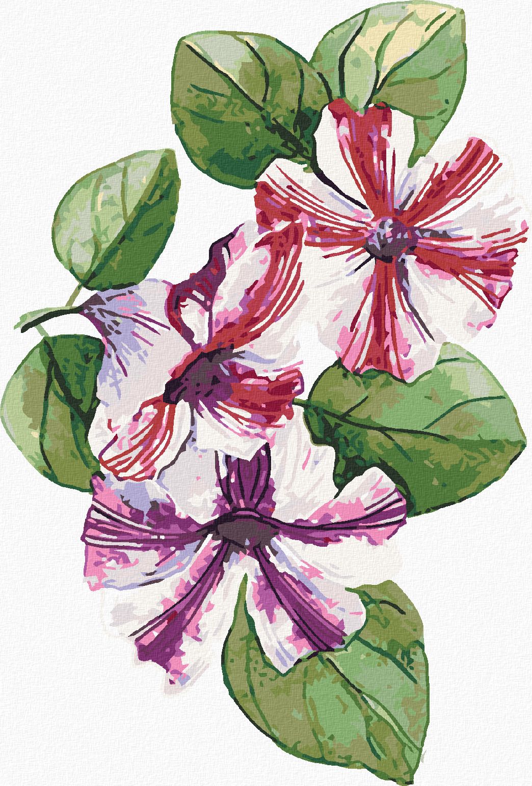 zuty Malování podle čísel - JARNÍ PETÚNIE (ALEXANDRIA GILBERT) - Rozměr: 40x50 cm, Rámování: Varianta: vypnuté plátno na rám - obrázek 1