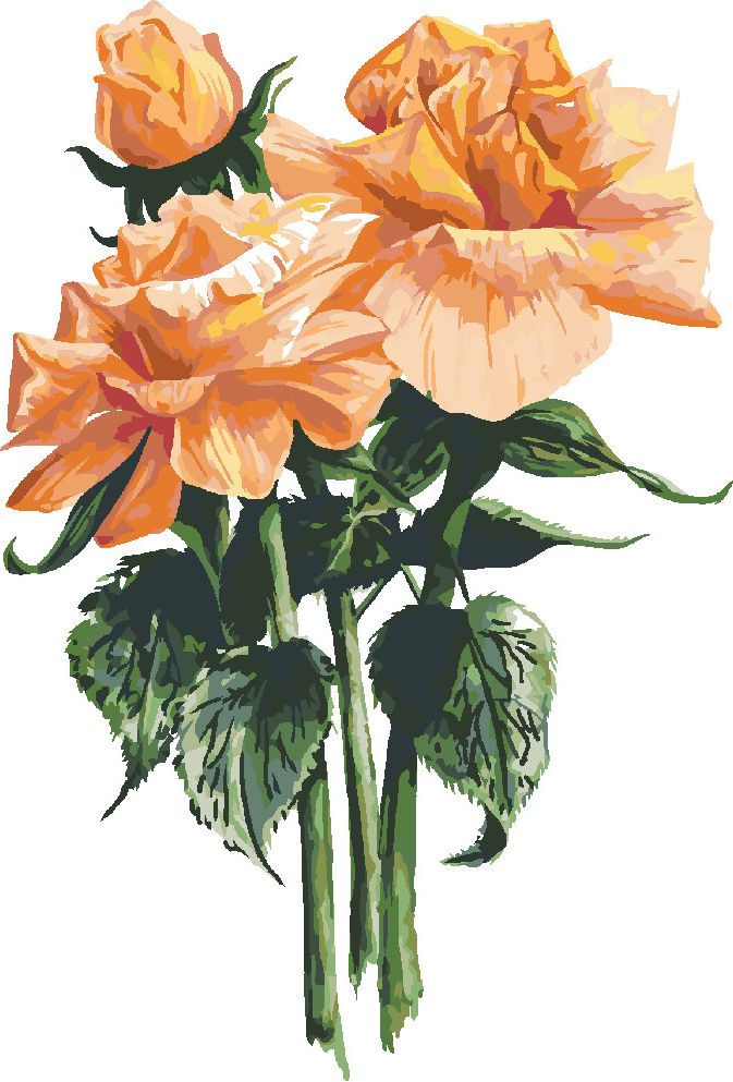 zuty Malování podle čísel - ORANŽOVÉ RŮŽE (ALEXANDRIA GILBERT) - Rozměr: 40x50 cm, Rámování: Varianta: bez rámu a bez vypnutí plátna - obrázek 4