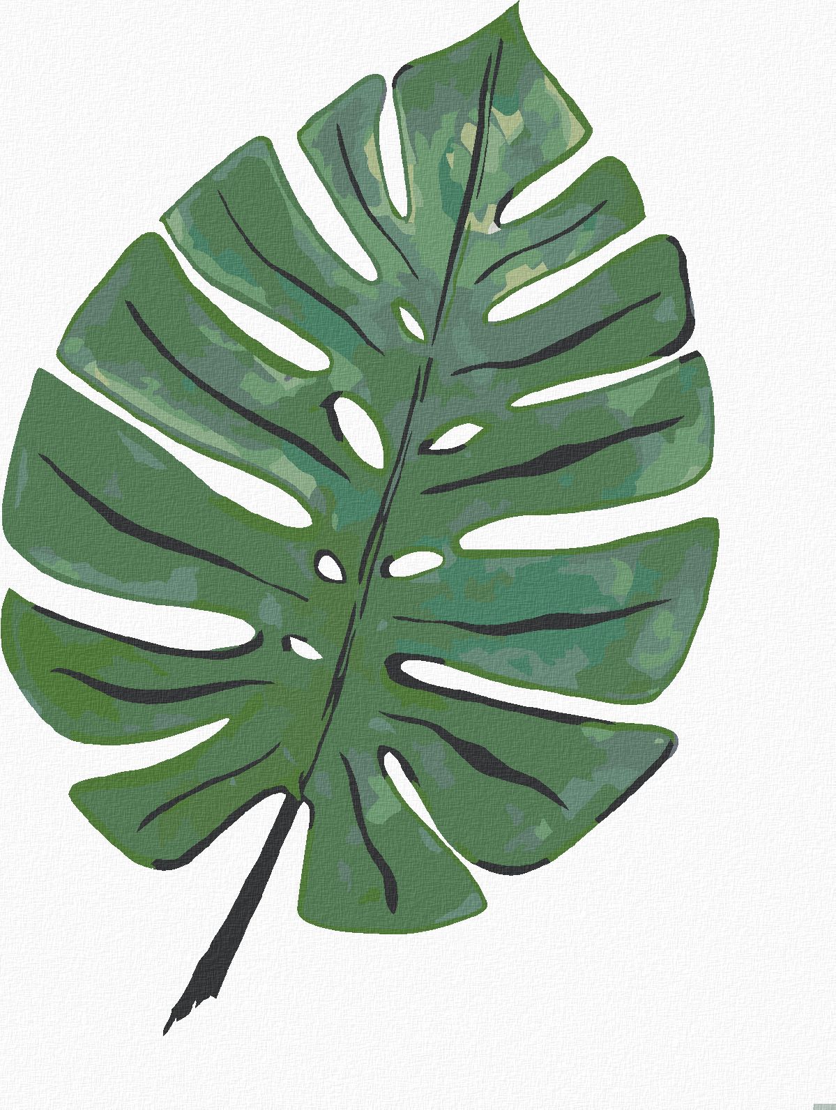 zuty Malování podle čísel - LIST MONSTERA (ALEXANDRIA GILBERT) - Rozměr: 40x50 cm, Rámování: Varianta: bez rámu a bez vypnutí plátna - obrázek 1