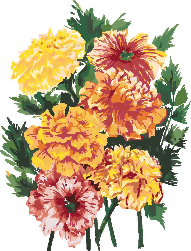 zuty Malování podle čísel - KVĚTINA MĚSÍČEK (ALEXANDRIA GILBERT) - Rozměr: 40x50 cm, Rámování: Varianta: bez rámu a bez vypnutí plátna - obrázek 8
