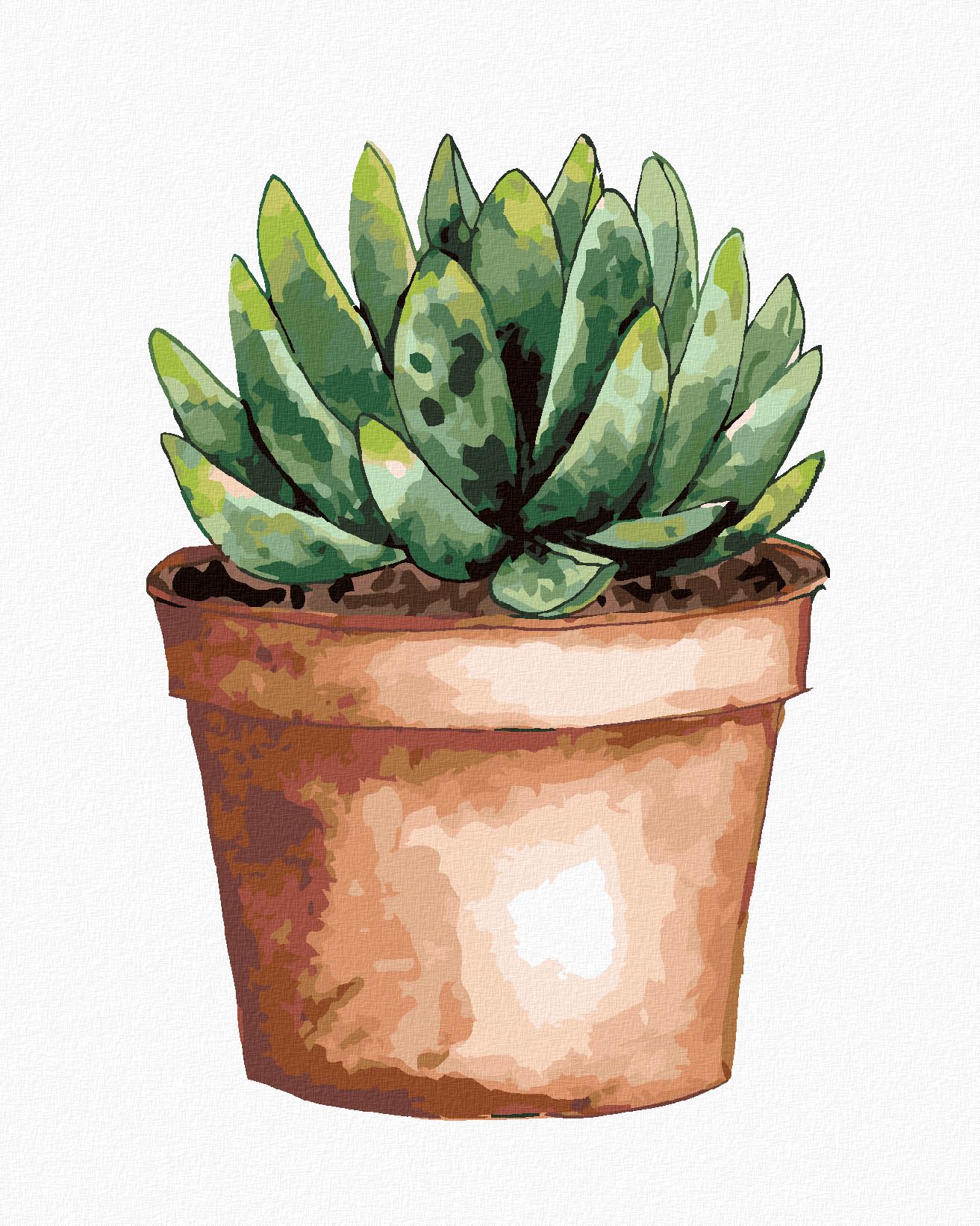 zuty Malování podle čísel - SUKULENT V HNĚDÉM KVĚTINÁČI (ALEXANDRIA GILBERT) - Rozměr: 40x50 cm, Rámování: Varianta: vypnuté plátno na rám - obrázek 1