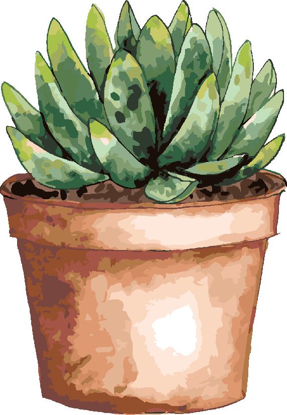 zuty Malování podle čísel - SUKULENT V HNĚDÉM KVĚTINÁČI (ALEXANDRIA GILBERT) - Rozměr: 40x50 cm, Rámování: Varianta: vypnuté plátno na rám - obrázek 7