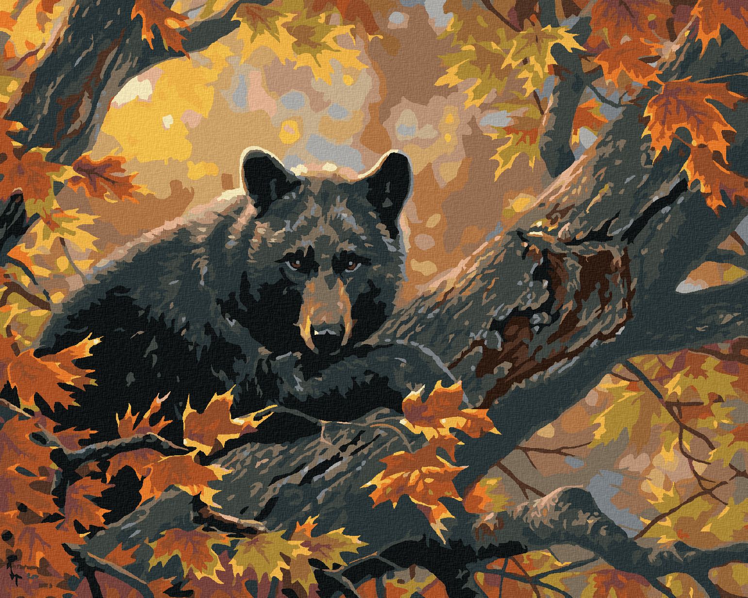 zuty Malování podle čísel - ČERNÝ MEDVĚD NA VĚTVI A PODZIMNÍ LISTÍ (ABRAHAM HUNTER) - Rozměr: 40x50 cm, Rámování: Varianta: bez rámu a bez vypnutí plátna - obrázek 1