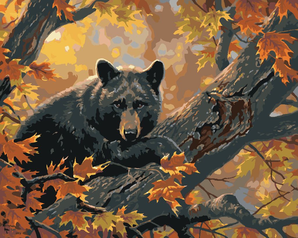 zuty Malování podle čísel - ČERNÝ MEDVĚD NA VĚTVI A PODZIMNÍ LISTÍ (ABRAHAM HUNTER) - Rozměr: 40x50 cm, Rámování: Varianta: bez rámu a bez vypnutí plátna - obrázek 9