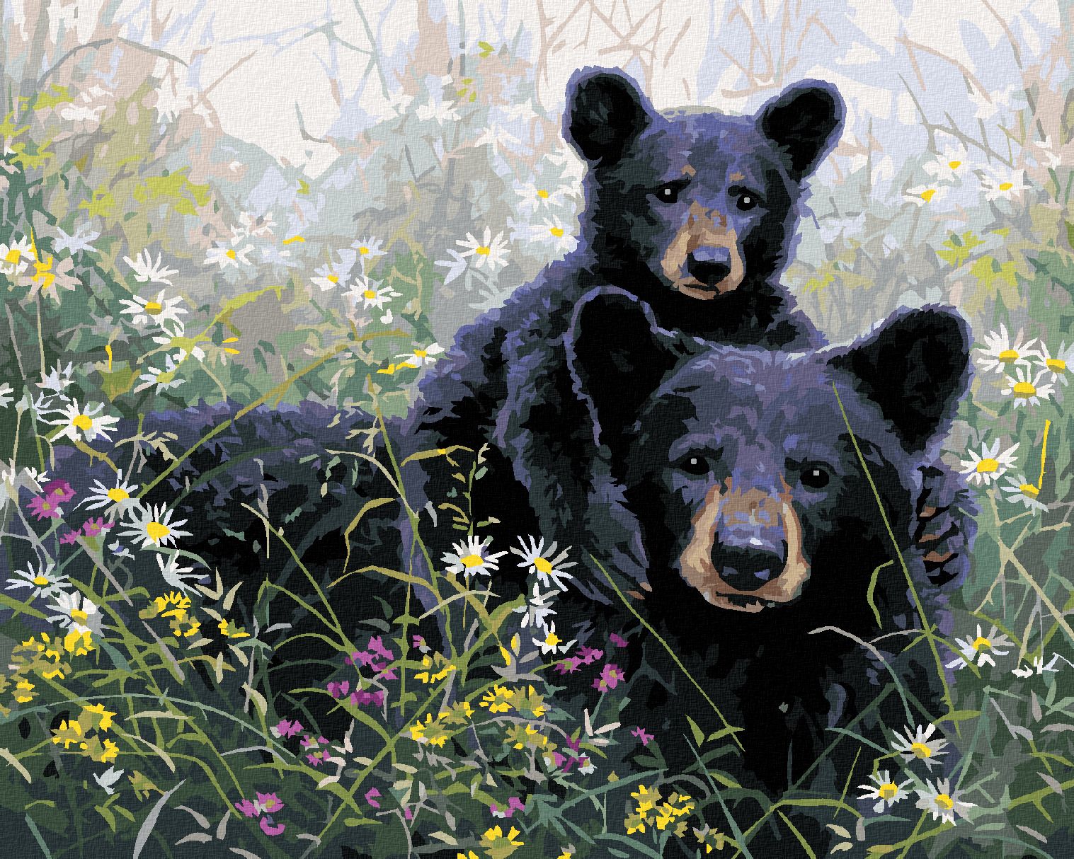 zuty Malování podle čísel - MEDVĚD A MLÁDĚ V KVĚTINÁCH (ABRAHAM HUNTER) - Rozměr: 40x50 cm, Rámování: Varianta: vypnuté plátno na rám - obrázek 1