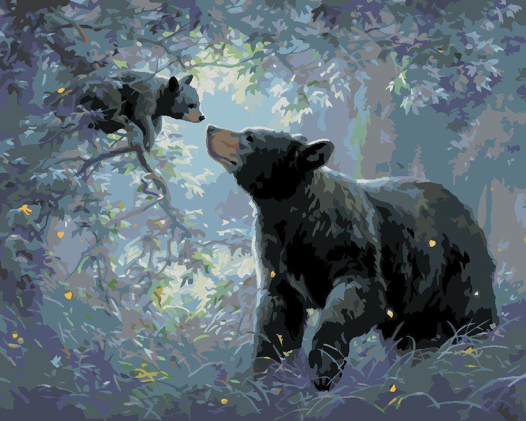 zuty Malování podle čísel - MEDVĚD A MLÁDĚ NA STROMĚ (ABRAHAM HUNTER) - Rozměr: 40x50 cm, Rámování: Varianta: vypnuté plátno na rám - obrázek 5