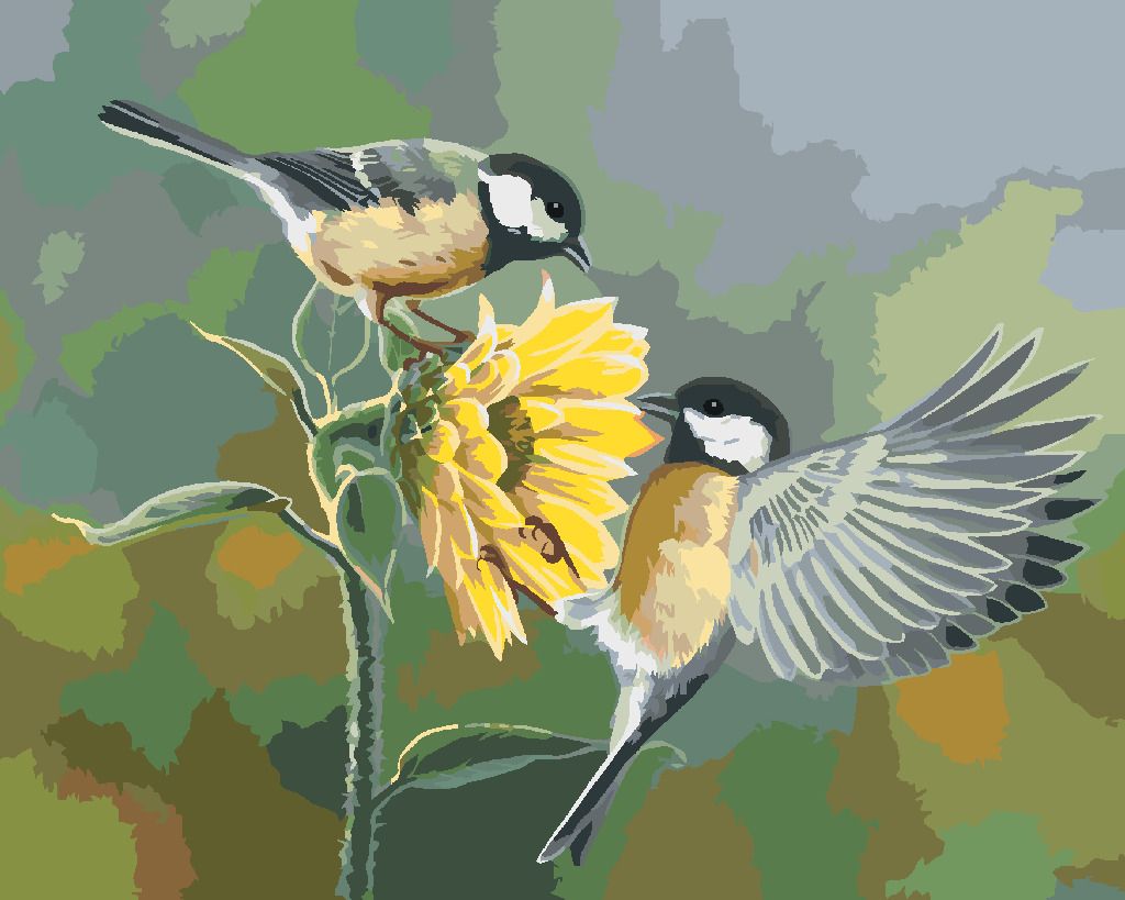 zuty Malování podle čísel - SYKORA KOŇADRA A SLUNEČNICE (ABRAHAM HUNTER) - Rozměr: 40x50 cm, Rámování: Varianta: bez rámu a bez vypnutí plátna - obrázek 10