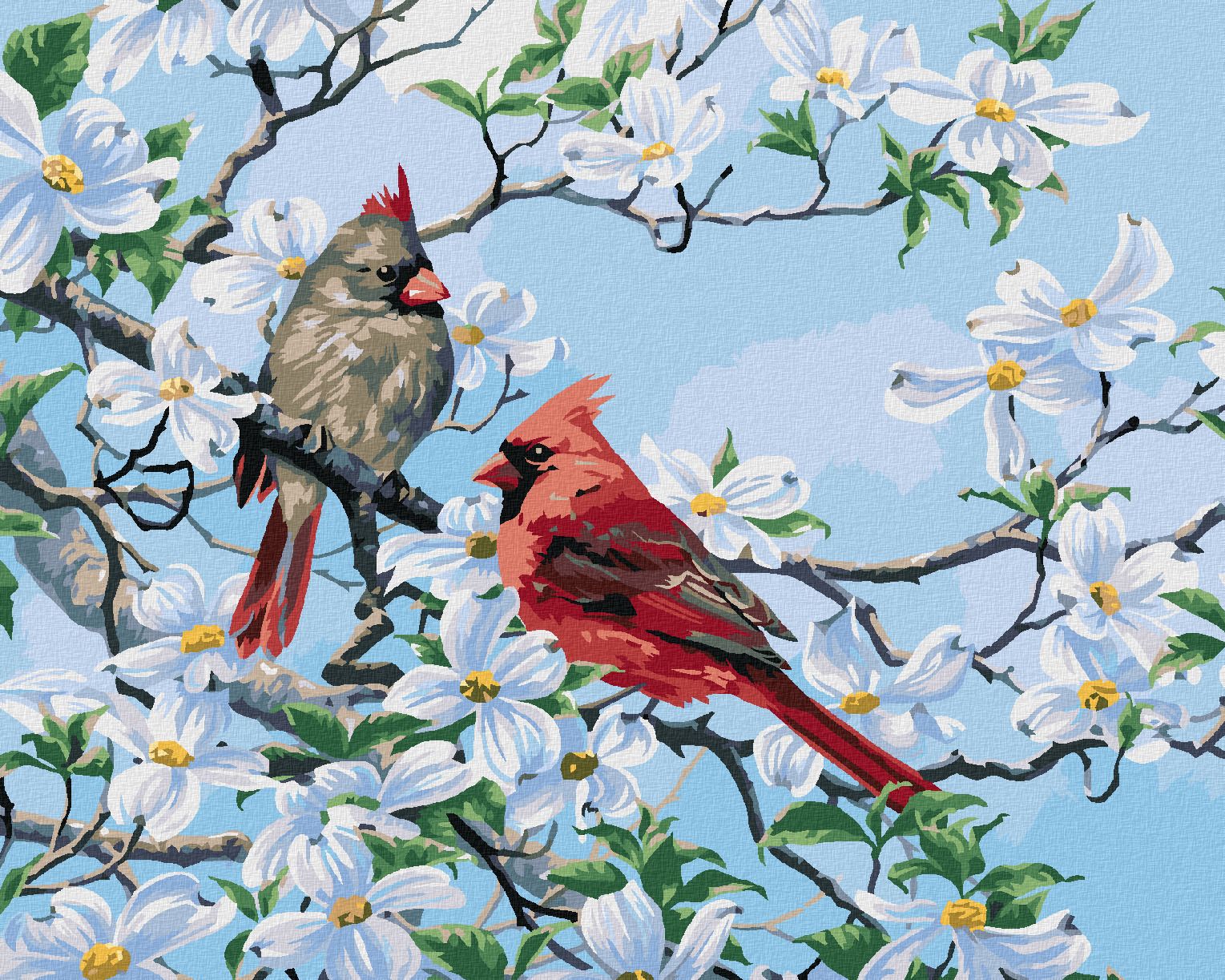 zuty Malování podle čísel - PTÁK KARDINÁL NA ROZKVETLÉ VĚTVI NA JAŘE (ABRAHAM HUNTER) - Rozměr: 40x50 cm, Rámování: Varianta: vypnuté plátno na rám - obrázek 1