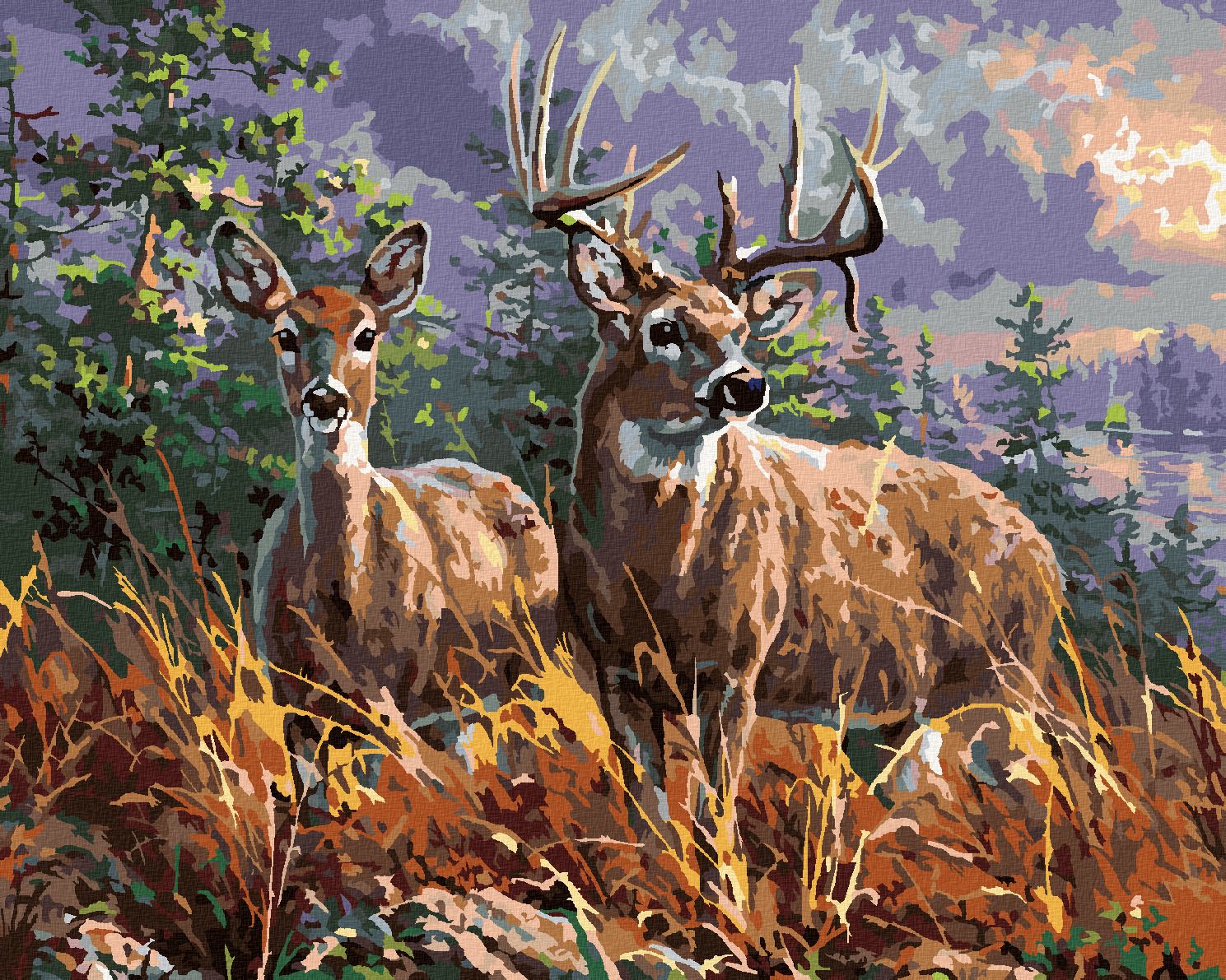 zuty Malování podle čísel - JELEN S DRUŽKOU A LES (ABRAHAM HUNTER) - Rozměr: 40x50 cm, Rámování: Varianta: bez rámu a bez vypnutí plátna - obrázek 1