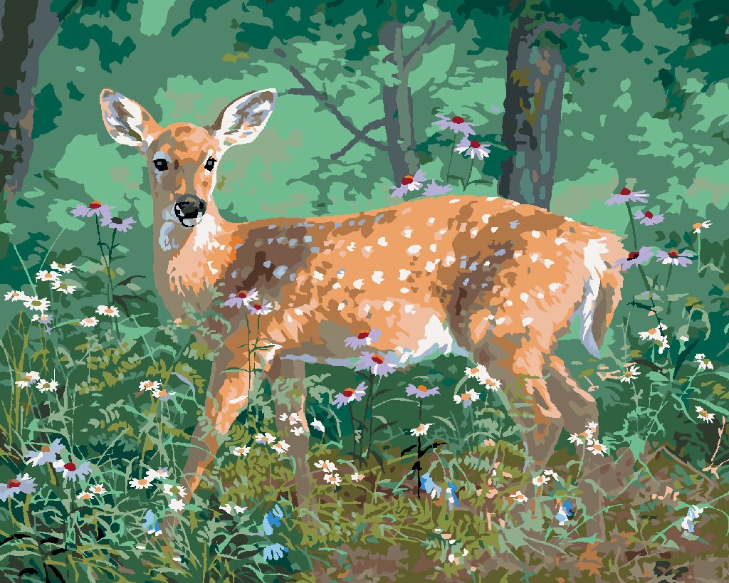 zuty Malování podle čísel - SRNA A KVÍTÍ (ABRAHAM HUNTER) - Rozměr: 40x50 cm, Rámování: Varianta: vypnuté plátno na rám - obrázek 9