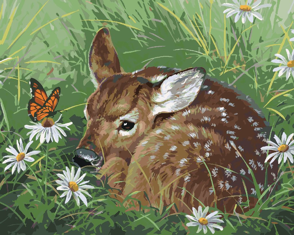 zuty Malování podle čísel - KOLOUCH A MOTÝL V KOPRETINÁCH (ABRAHAM HUNTER) - Rozměr: 40x50 cm, Rámování: Varianta: vypnuté plátno na rám - obrázek 10