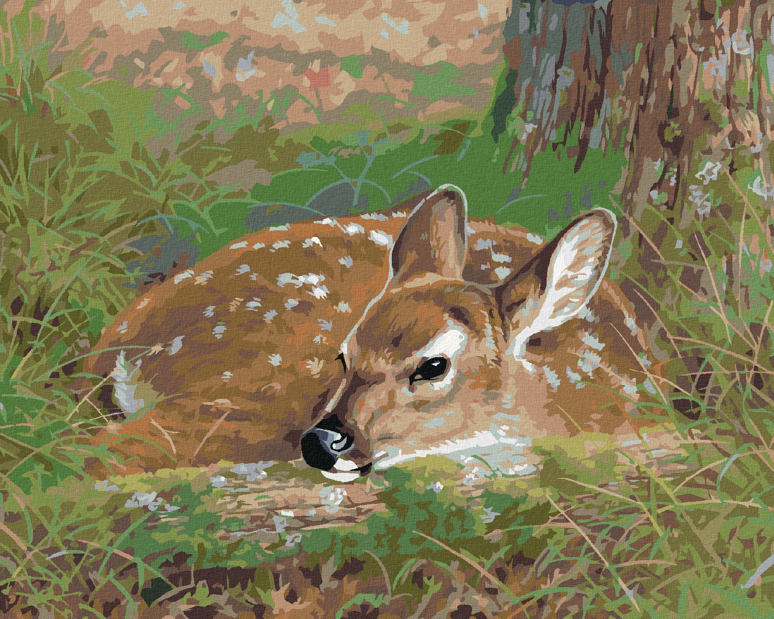 zuty Malování podle čísel - LEŽÍCÍ KOLOUCH V TRÁVĚ (ABRAHAM HUNTER) - Rozměr: 40x50 cm, Rámování: Varianta: bez rámu a bez vypnutí plátna - obrázek 1