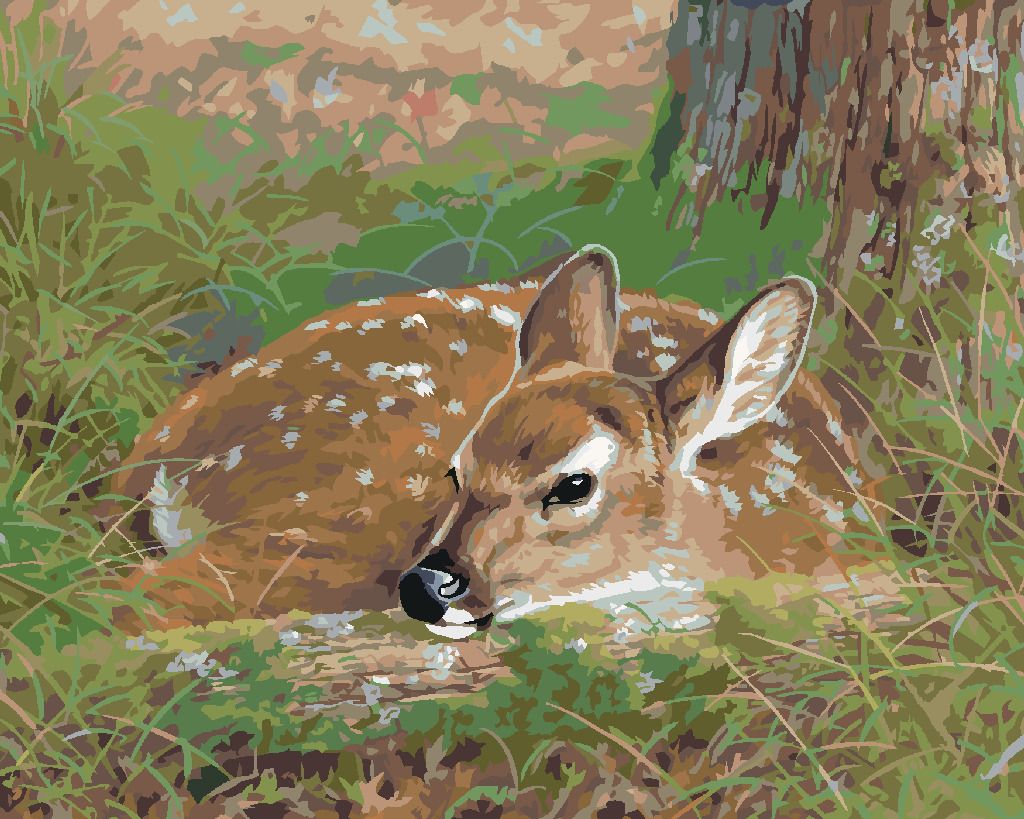 zuty Malování podle čísel - LEŽÍCÍ KOLOUCH V TRÁVĚ (ABRAHAM HUNTER) - Rozměr: 40x50 cm, Rámování: Varianta: bez rámu a bez vypnutí plátna - obrázek 9