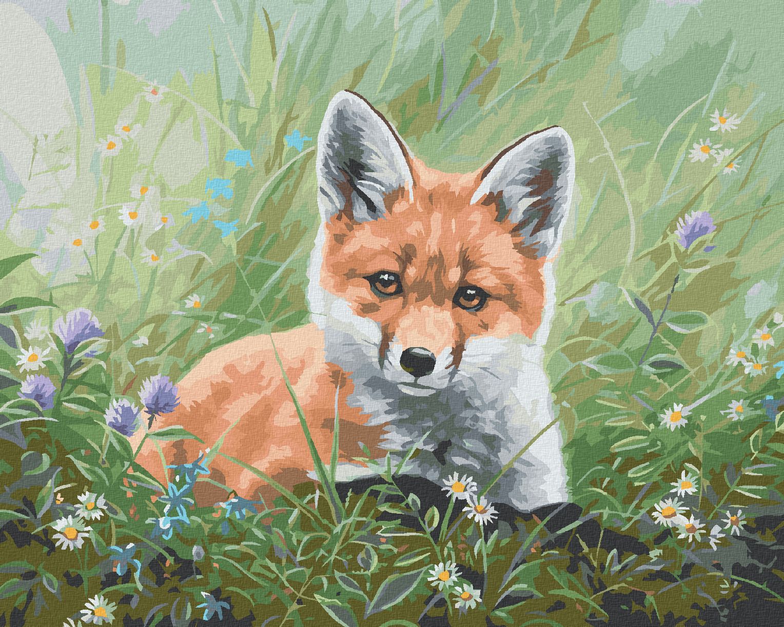 zuty Malování podle čísel - MLÁDĚ LIŠKY V KVÍTÍ (ABRAHAM HUNTER) - Rozměr: 40x50 cm, Rámování: Varianta: bez rámu a bez vypnutí plátna - obrázek 1