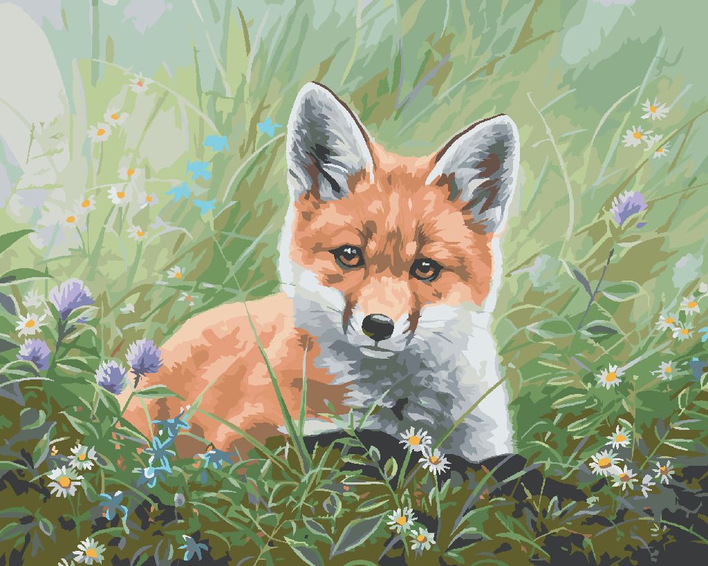zuty Malování podle čísel - MLÁDĚ LIŠKY V KVÍTÍ (ABRAHAM HUNTER) - Rozměr: 40x50 cm, Rámování: Varianta: bez rámu a bez vypnutí plátna - obrázek 7