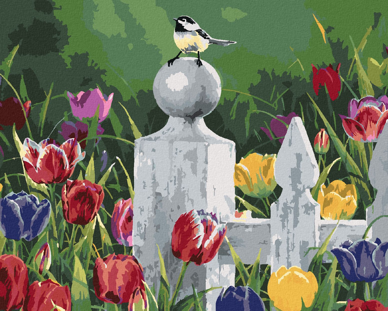 zuty Malování podle čísel - SÝKORKA NA DŘEVĚNÉM PLOTĚ A TULIPÁNY (ABRAHAM HUNTER) - Rozměr: 40x50 cm, Rámování: Varianta: vypnuté plátno na rám - obrázek 1