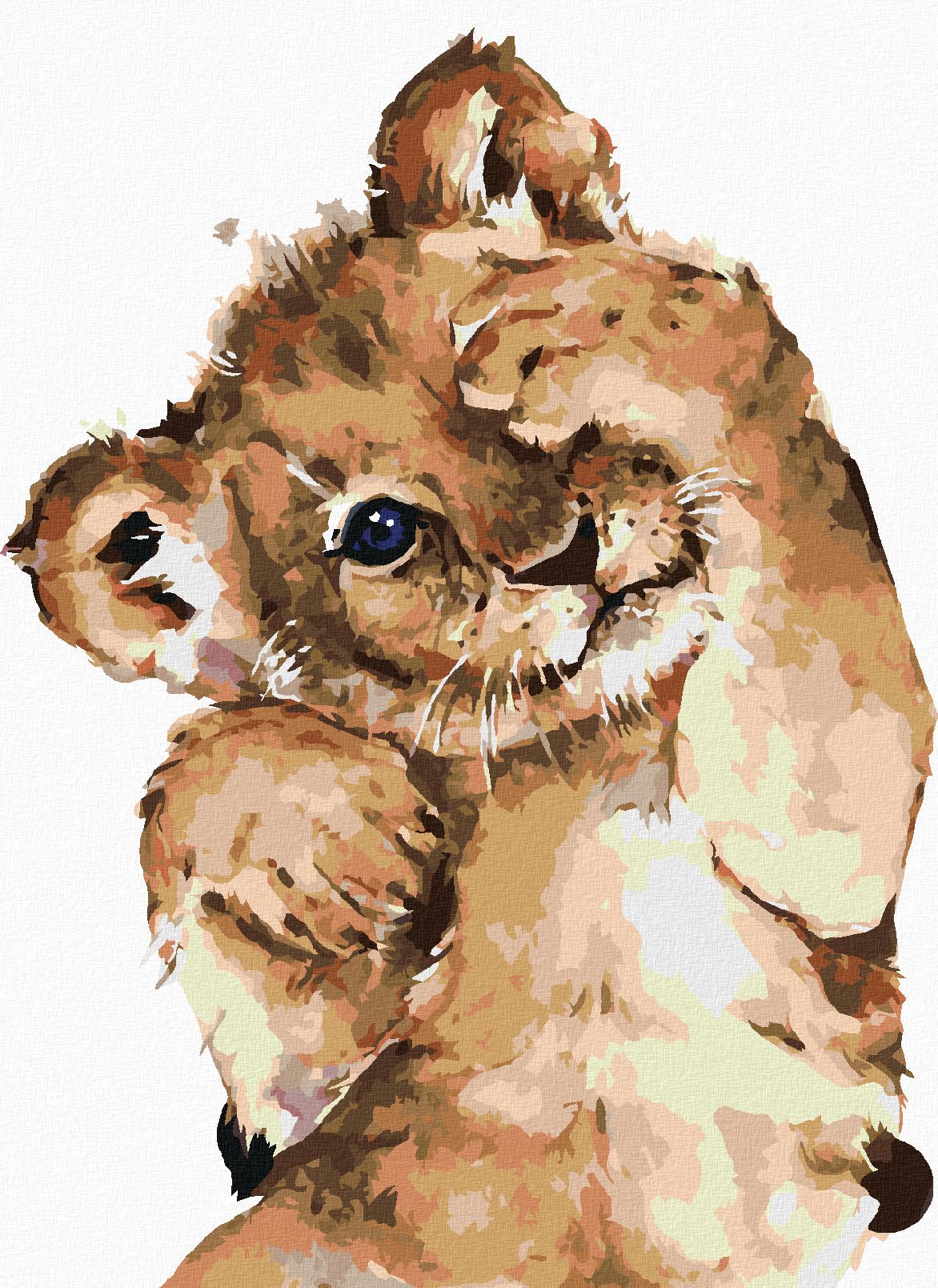 zuty Malování podle čísel - STYDLIVÉ LVÍČE - Rozměr: 40x50 cm, Rámování: Varianta: bez rámu a bez vypnutí plátna - obrázek 1