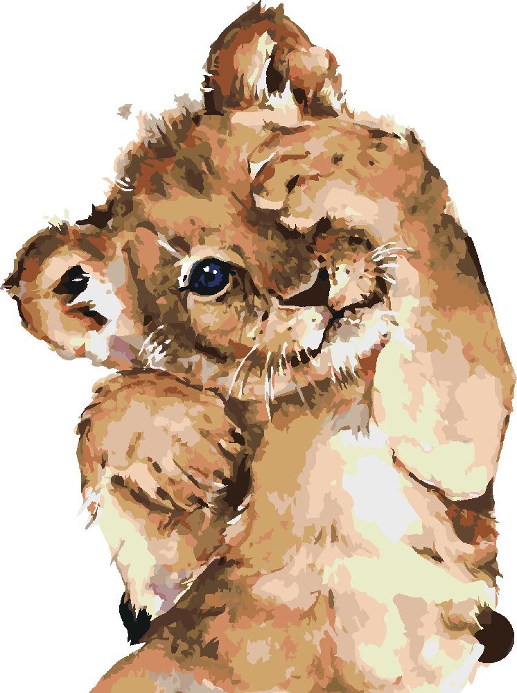 zuty Malování podle čísel - STYDLIVÉ LVÍČE - Rozměr: 40x50 cm, Rámování: Varianta: bez rámu a bez vypnutí plátna - obrázek 2
