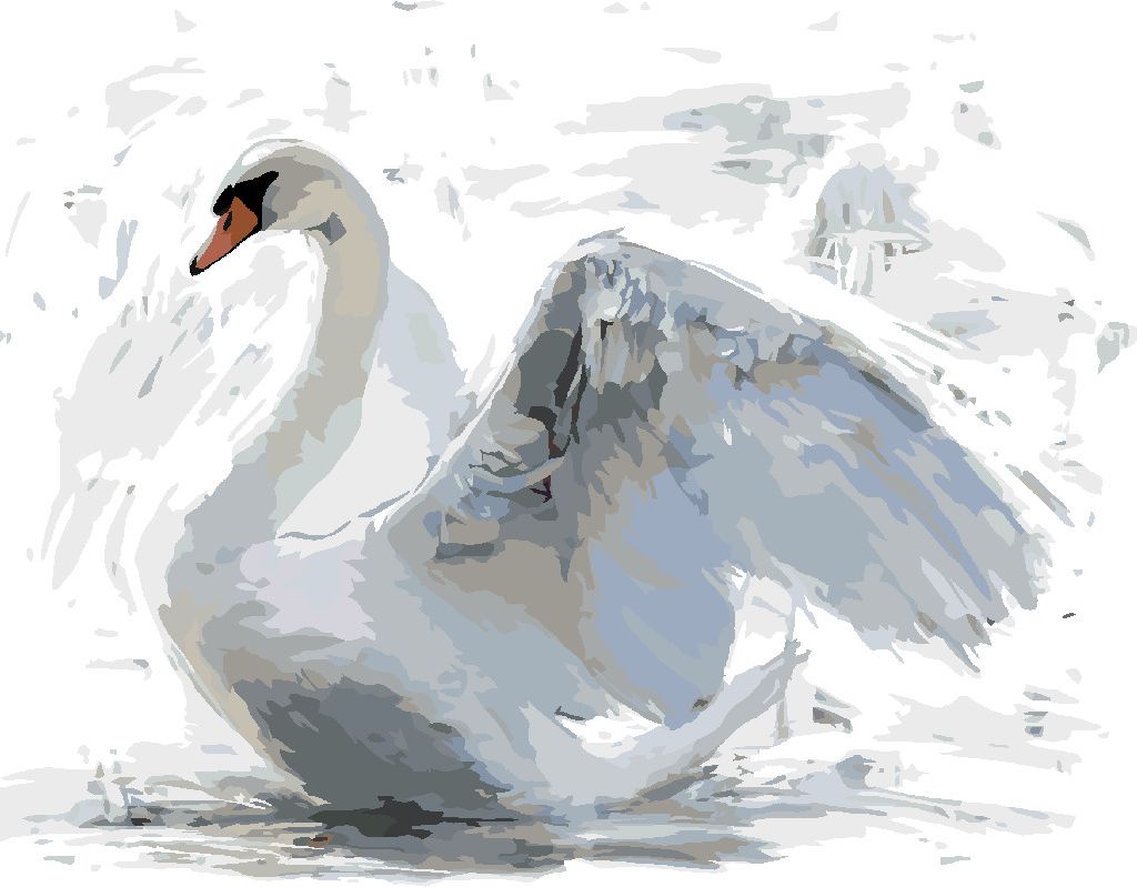 zuty Malování podle čísel - BÍLÁ LABUŤ - Rozměr: 40x50 cm, Rámování: Varianta: vypnuté plátno na rám - obrázek 9