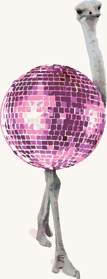 zuty Malování podle čísel - PŠTROS JAKO DISCO KOULE - Rozměr: 40x50 cm, Rámování: Varianta: bez rámu a bez vypnutí plátna - obrázek 2