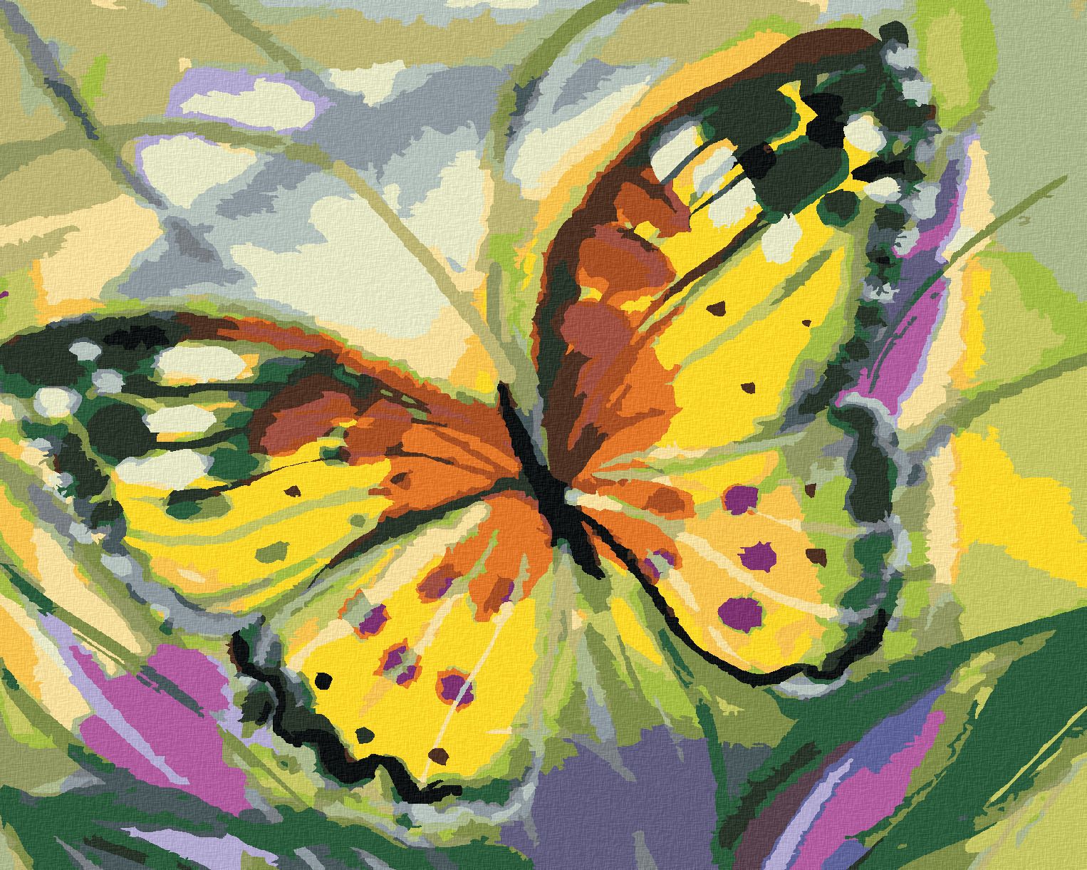 zuty Malování podle čísel - MOTÝL ŽLUŤÁSEK - Rozměr: 40x50 cm, Rámování: Varianta: bez rámu a bez vypnutí plátna - obrázek 1