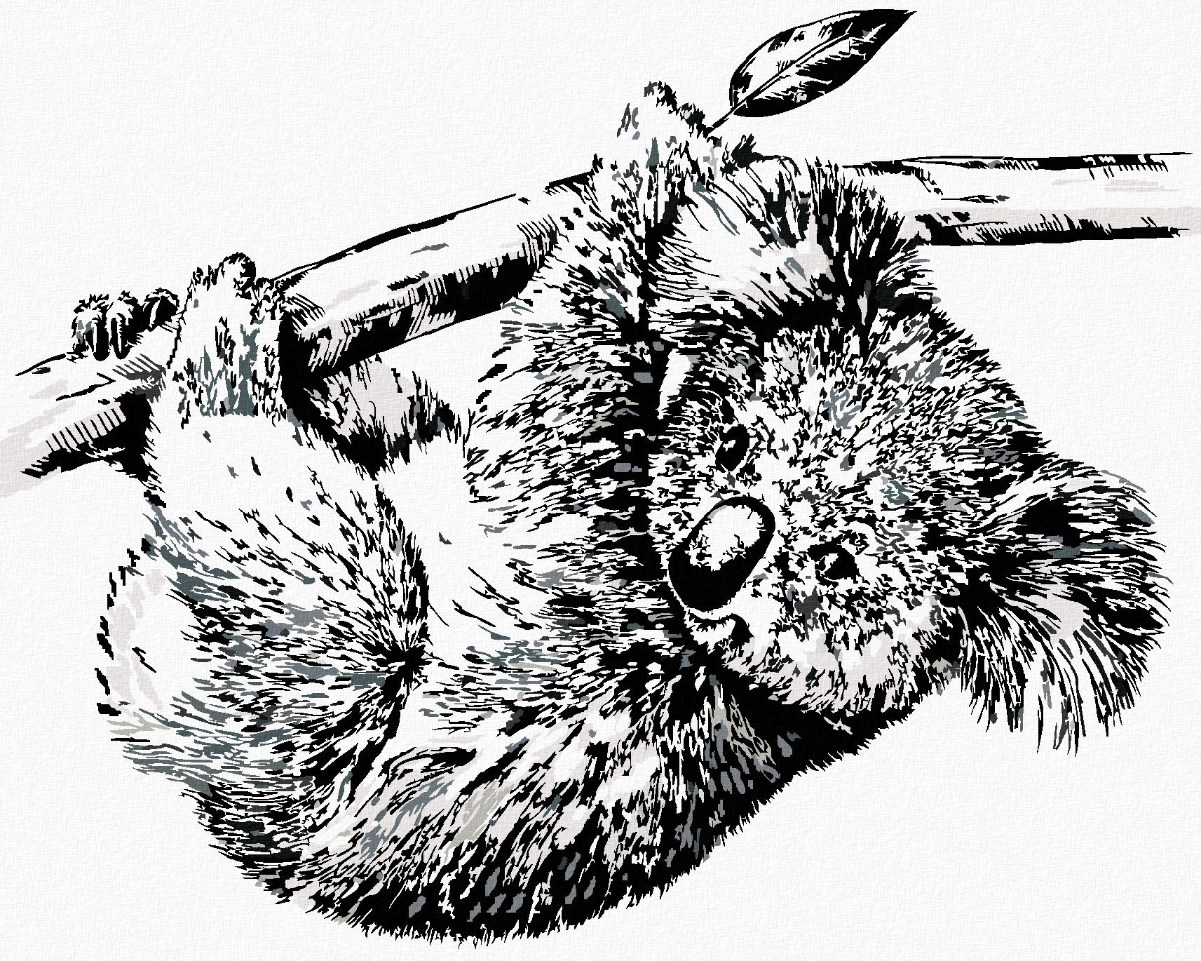zuty Malování podle čísel - ČERNOBÍLÁ KOALA - Rozměr: 40x50 cm, Rámování: Varianta: vypnuté plátno na rám - obrázek 1