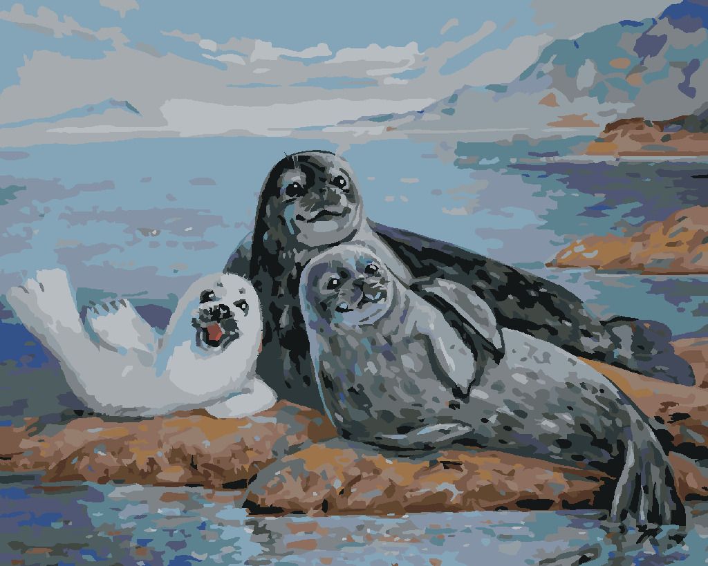 zuty Malování podle čísel - RODINA TULEŇŮ - Rozměr: 40x50 cm, Rámování: Varianta: bez rámu a bez vypnutí plátna - obrázek 8